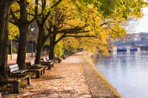 Dame Judy Dench Walk and River Ouse in Autumn, fall, Yorkshire, Lendal Bridge York