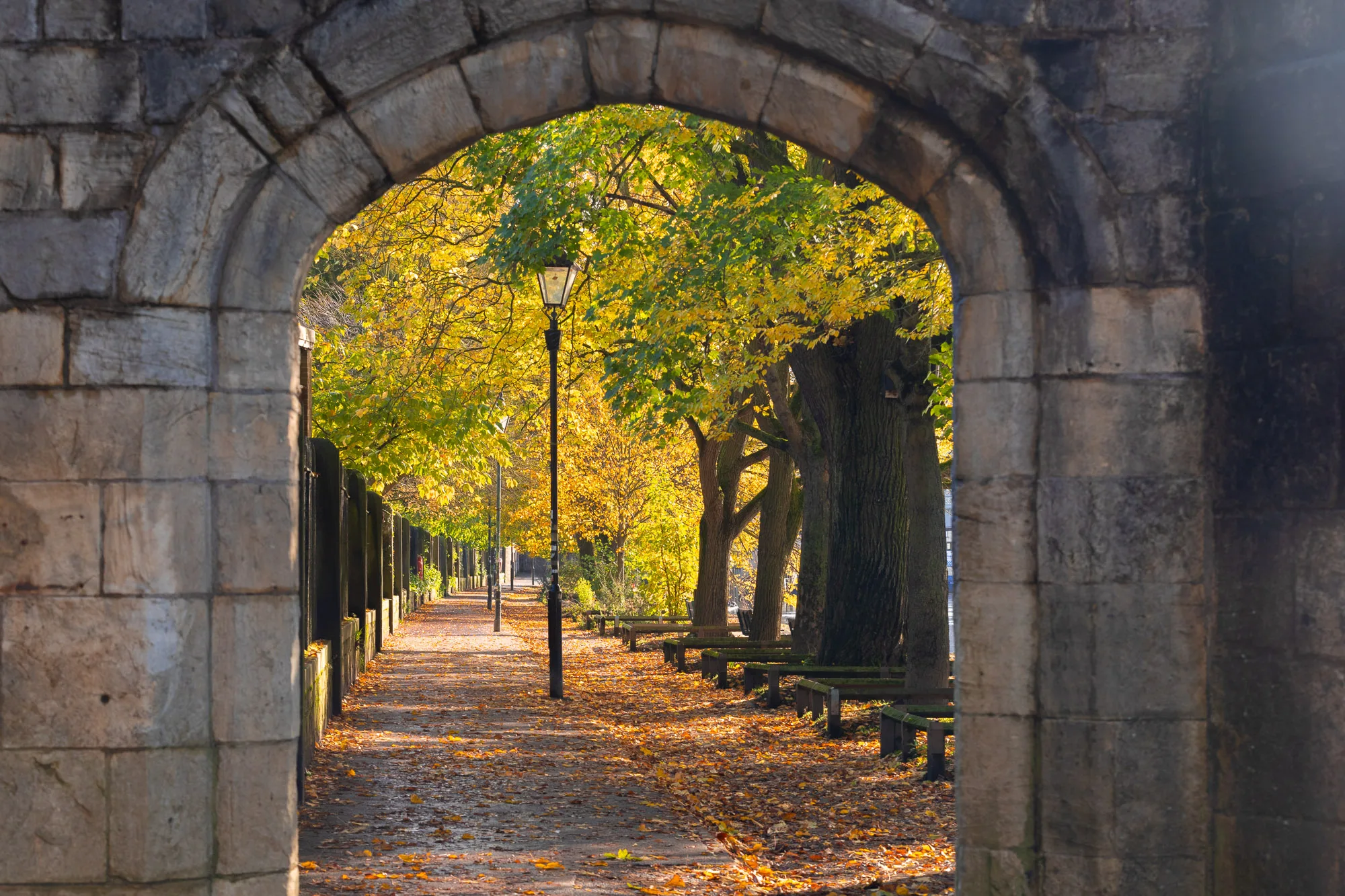 Dame Judy Dench walk York Riverside path Autumn