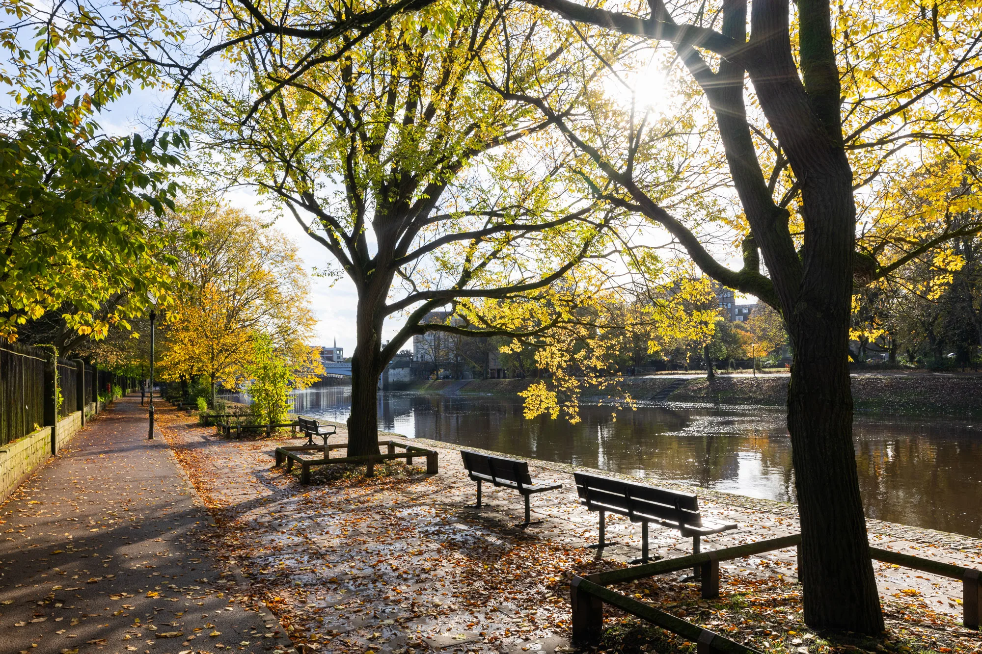 Benches on Dame Judy Walk in the Autumn Sunshine with the River Ouse. Yorkshire