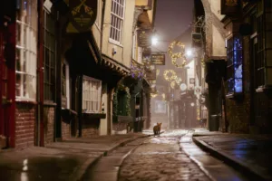 Fox on The Shambles, York city centre